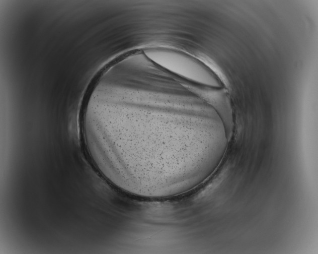 X0000089710980200707121410