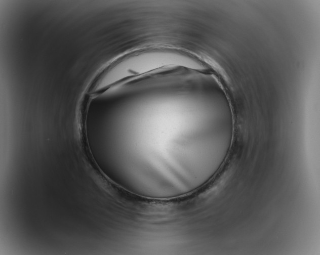 X0000089710981200707121410