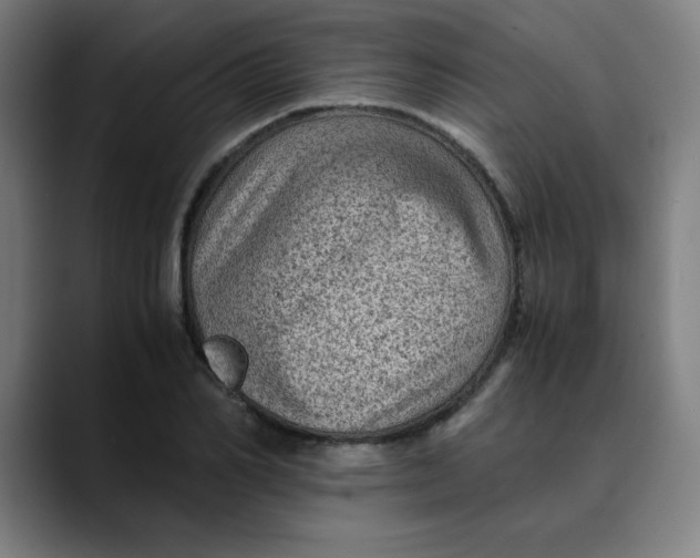 X0000089710982200707121410