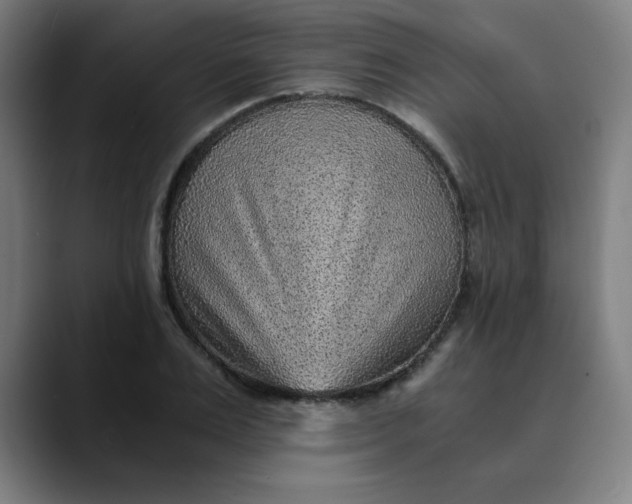 X0000089710983200707121410