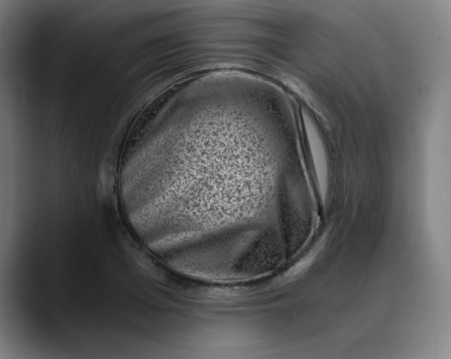 X0000089710985200707121409