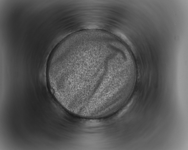 X0000089710986200707121409