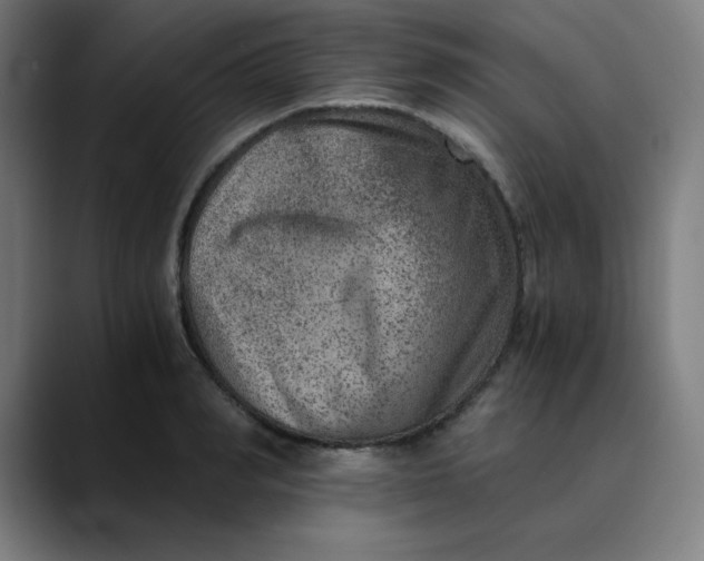 X0000089710990200707121409