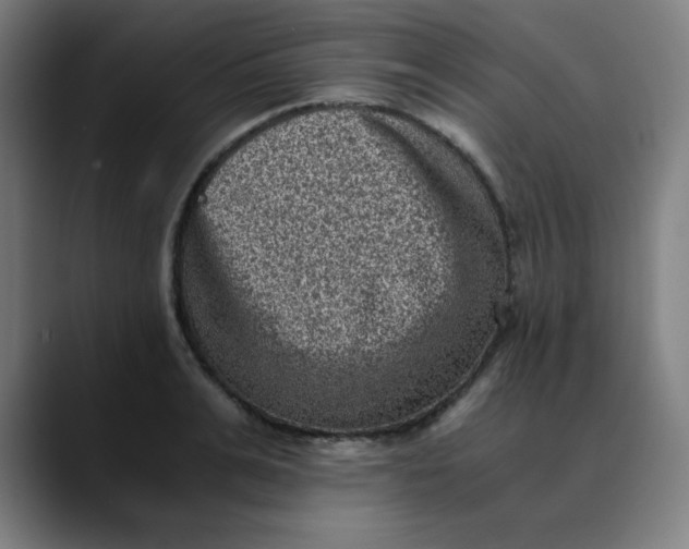 X0000089710991200707121409