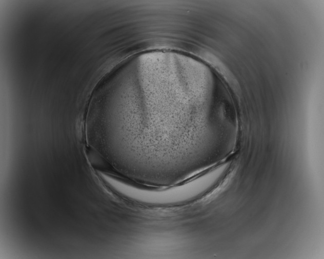 X0000089710993200707121409