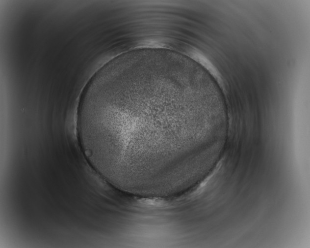 X0000089710994200707121409