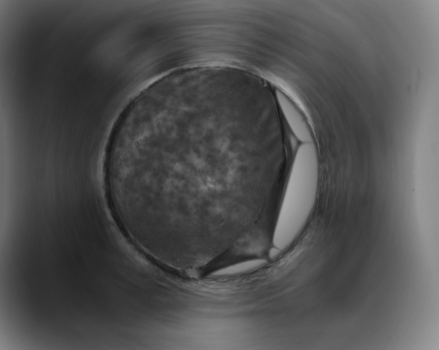 X0000089710995200707121409