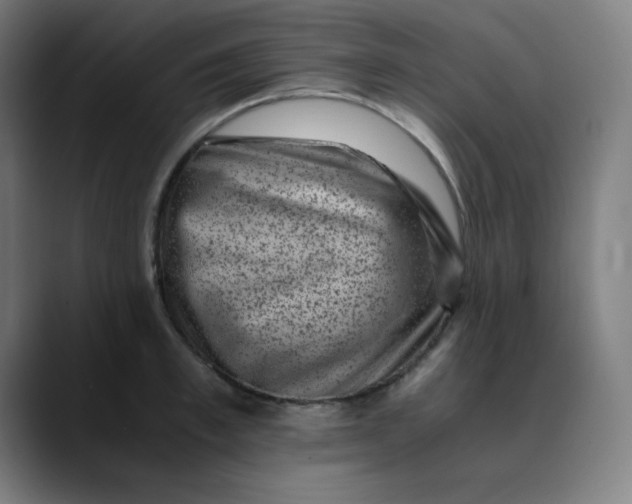 X0000089710997200707121409