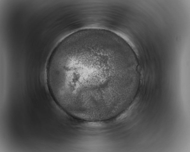 X0000089710998200707121409