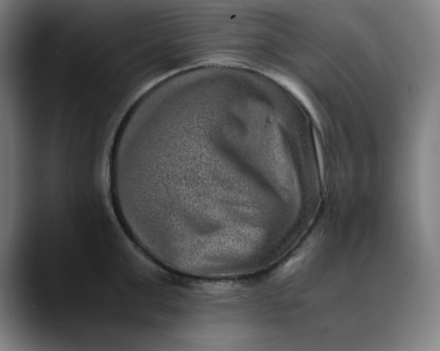 X0000089710999200707121409