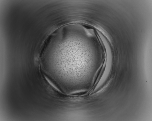 X0000089711001200707121409