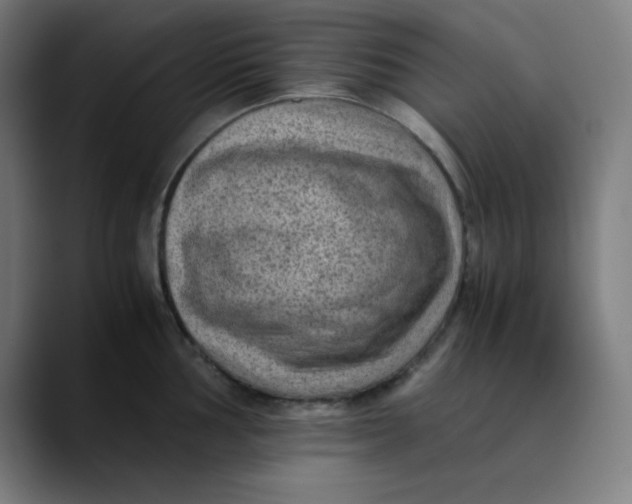 X0000089711002200707121409