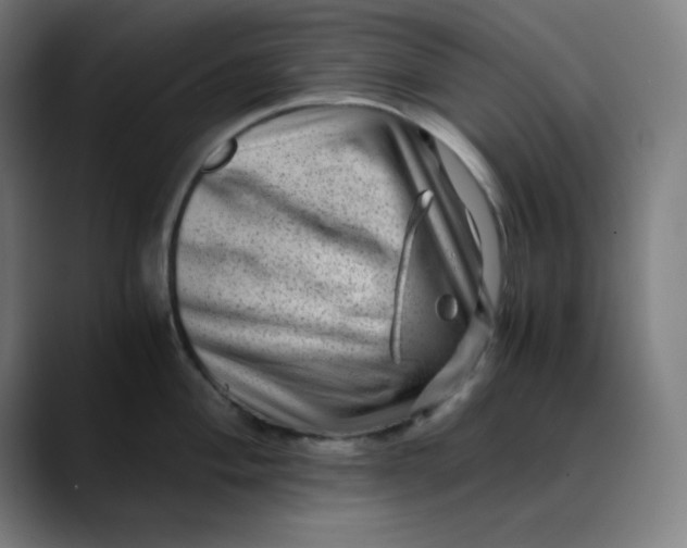 X0000089711004200707121409