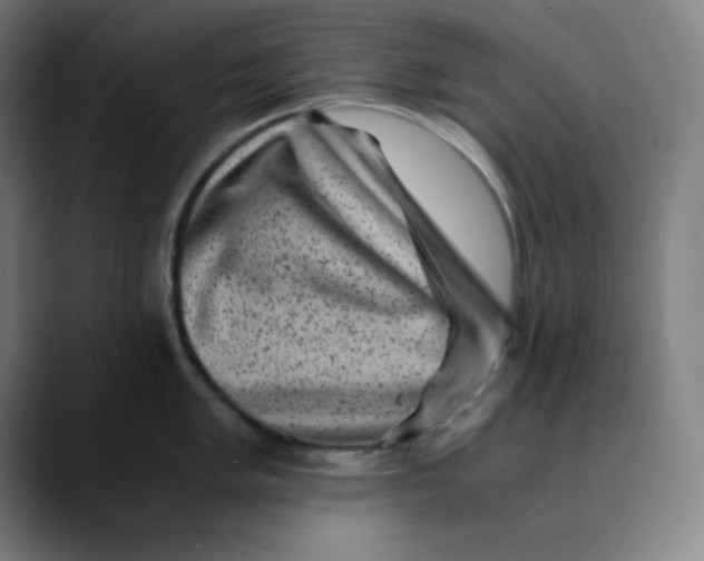 X0000089711005200707121409