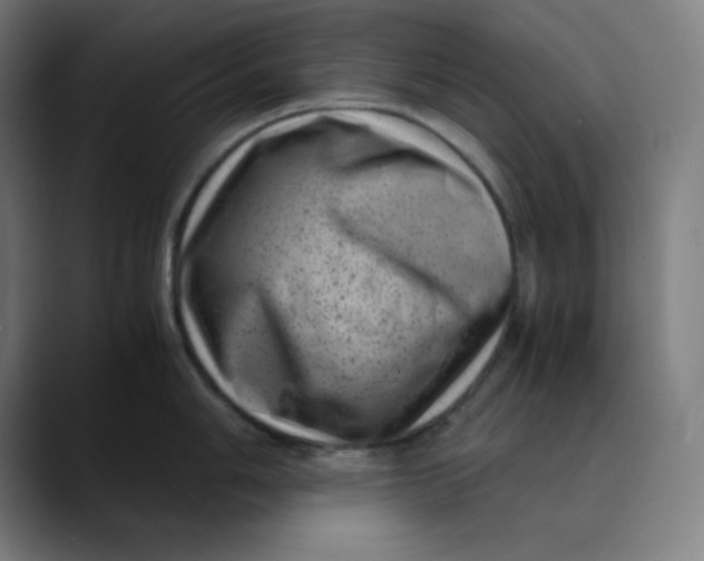 X0000089711006200707121409