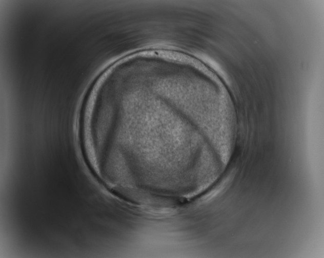 X0000089711007200707121409