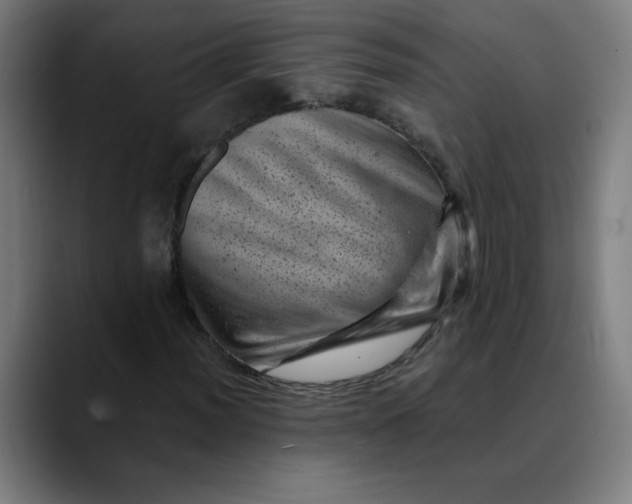 X0000089711012200707121409