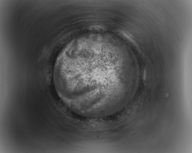 X0000089711015200707121409