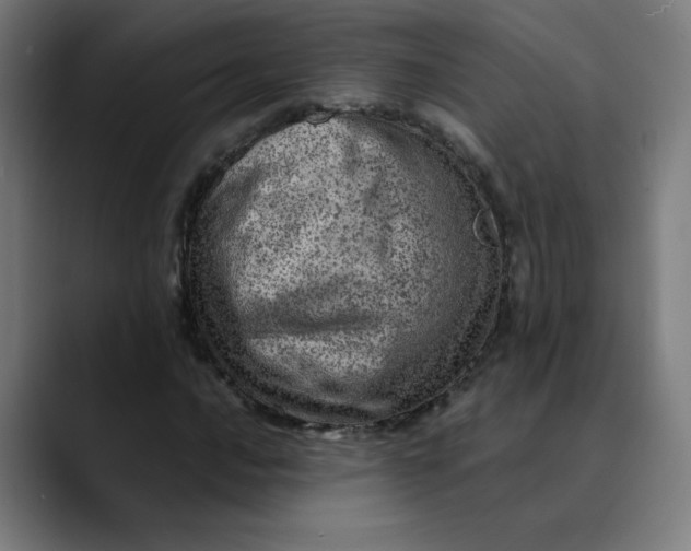 X0000089711016200707121409