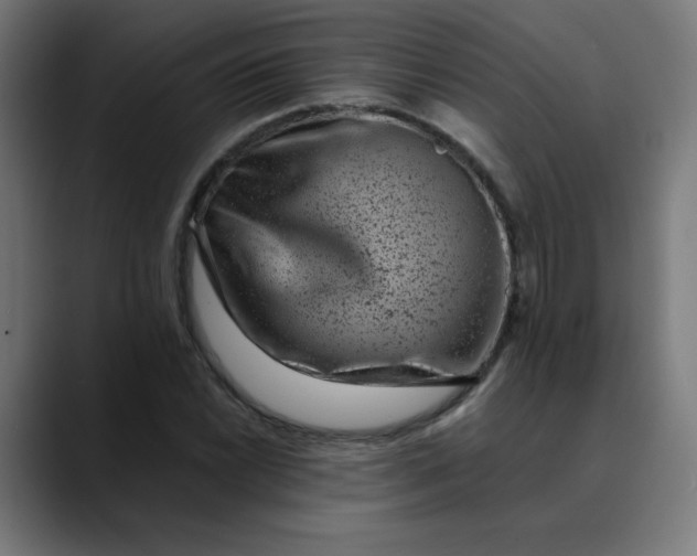 X0000089711022200707121409