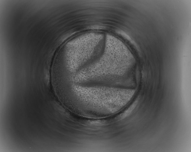 X0000089711025200707121409