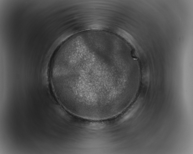 X0000089711026200707121409