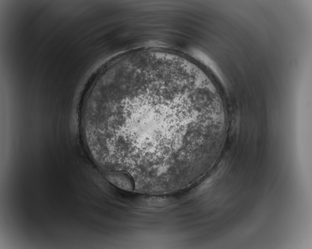 X0000089711027200707121409