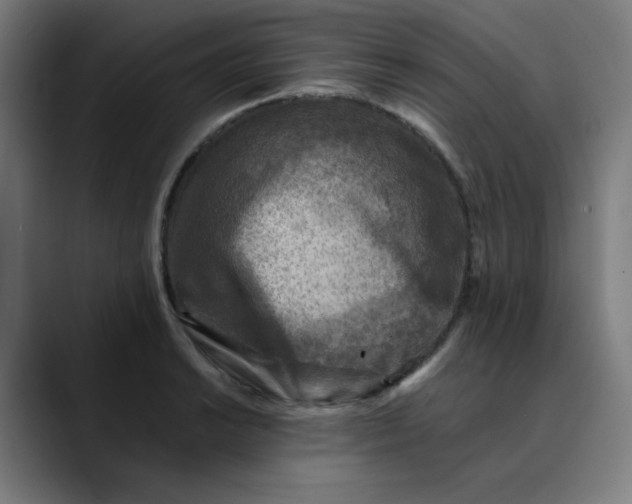 X0000089711038200707121409