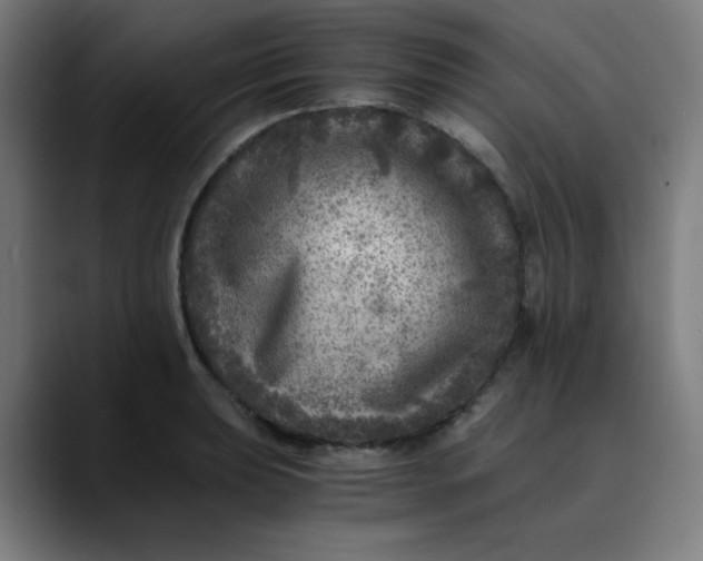 X0000089711039200707121409