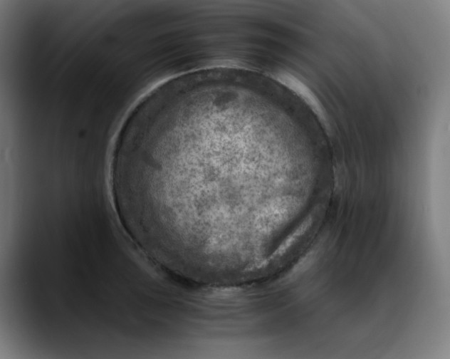 X0000089711043200707121409