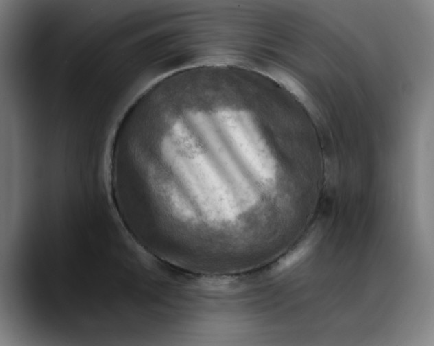 X0000089711046200707121409