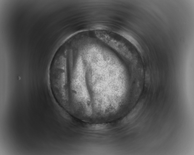 X0000089711047200707121409