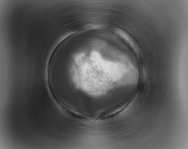 X0000089711050200707121409