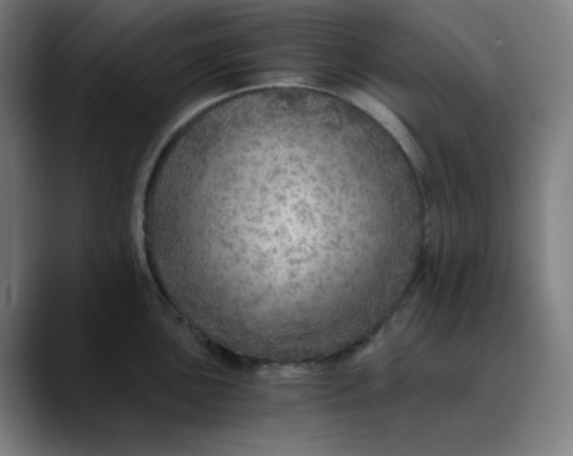 X0000089711051200707121409