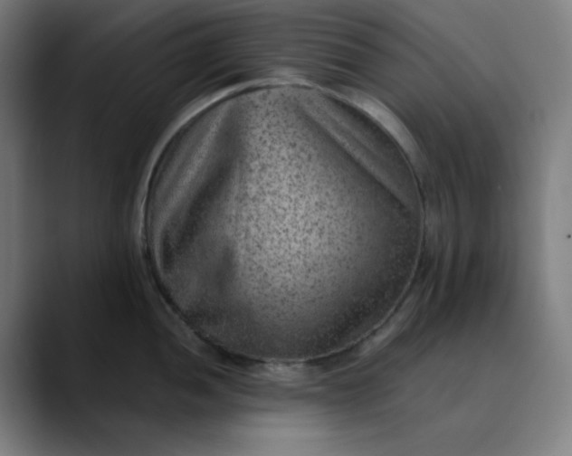 X0000089711052200707121409