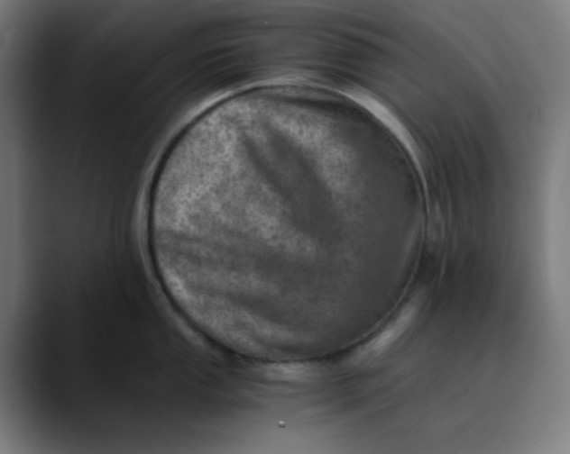 X0000089711053200707121409