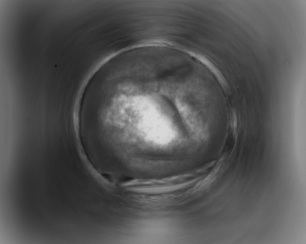 X0000089711054200707121409