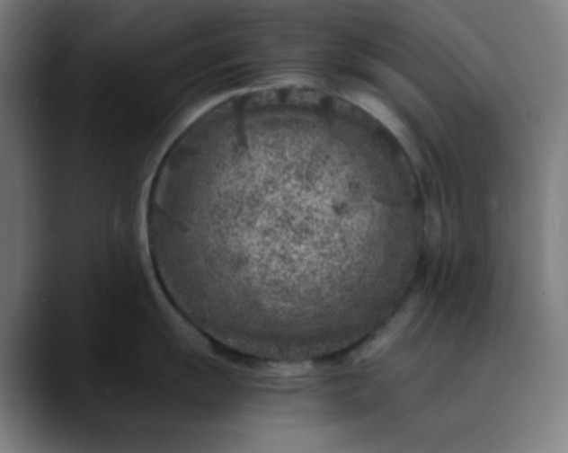 X0000089711055200707121409