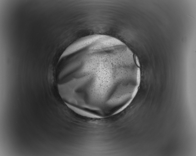 X0000089711058200707121408