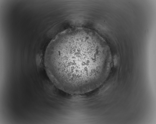 X0000089711059200707121408