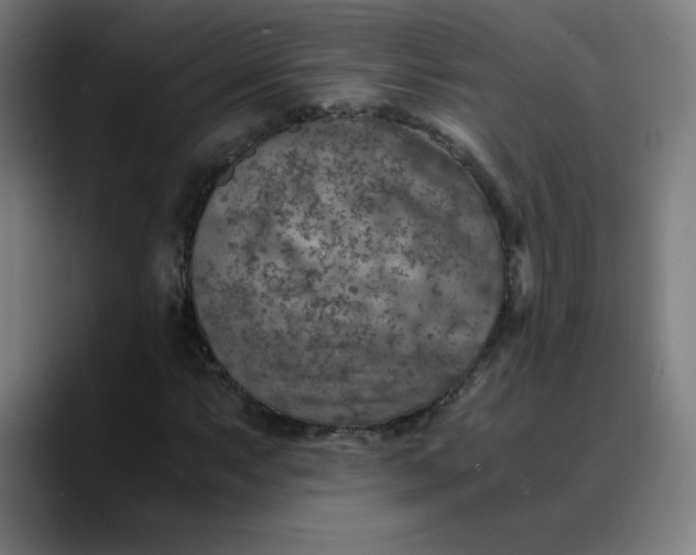 X0000089711063200707121408