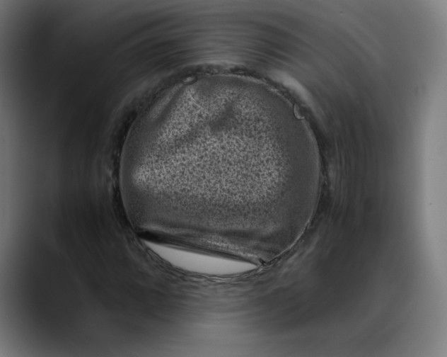 X0000089711064200707121408