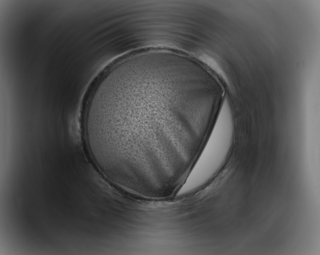 X0000089711068200707121408