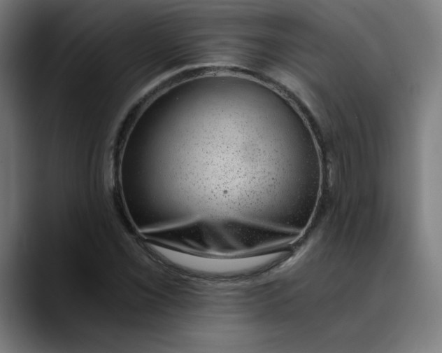 X0000089711069200707121408