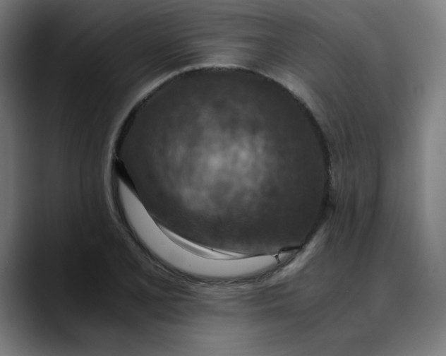 X0000089711077200707121408