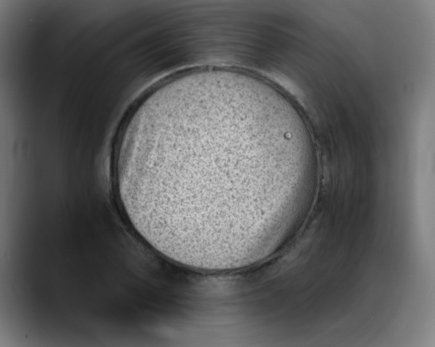 X0000089711078200707121408