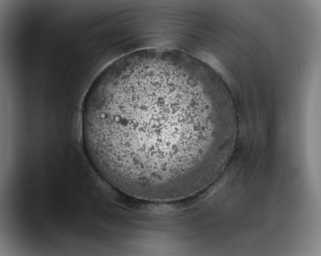 X0000089711079200707121408