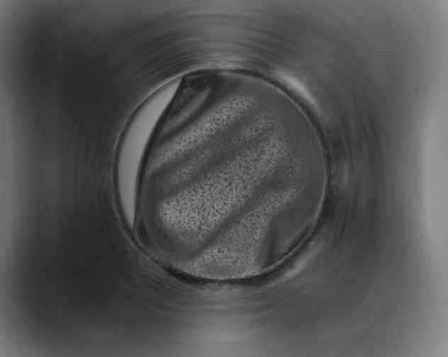 X0000089711081200707121408