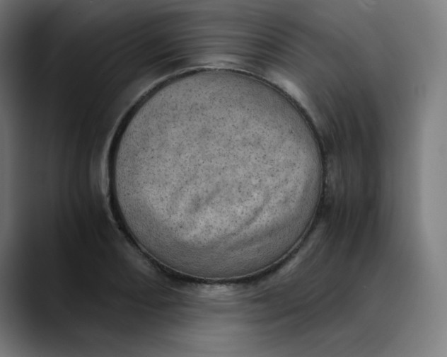 X0000089711082200707121408