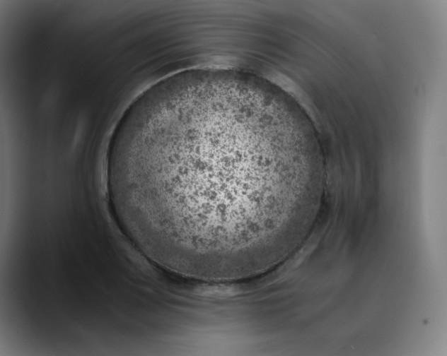 X0000089711083200707121408